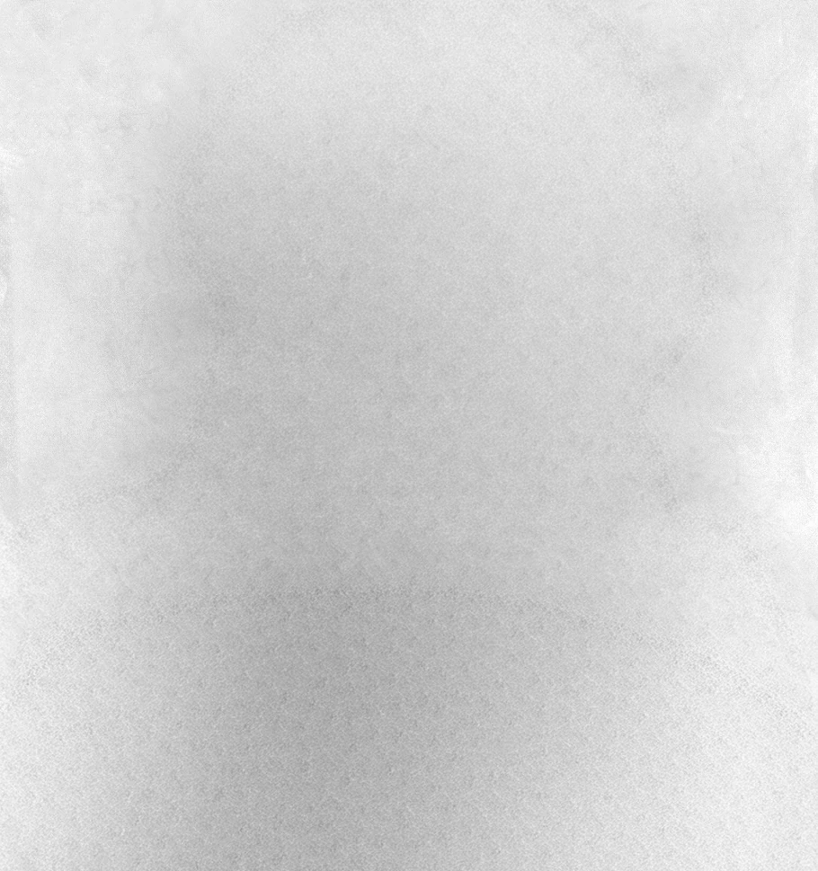 Lion bg